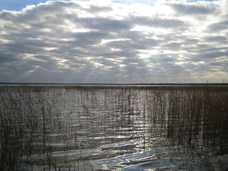 Славенское-озеро_003